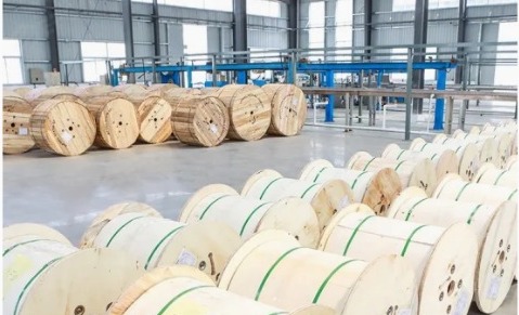 putratelkom-indonesia-logistik